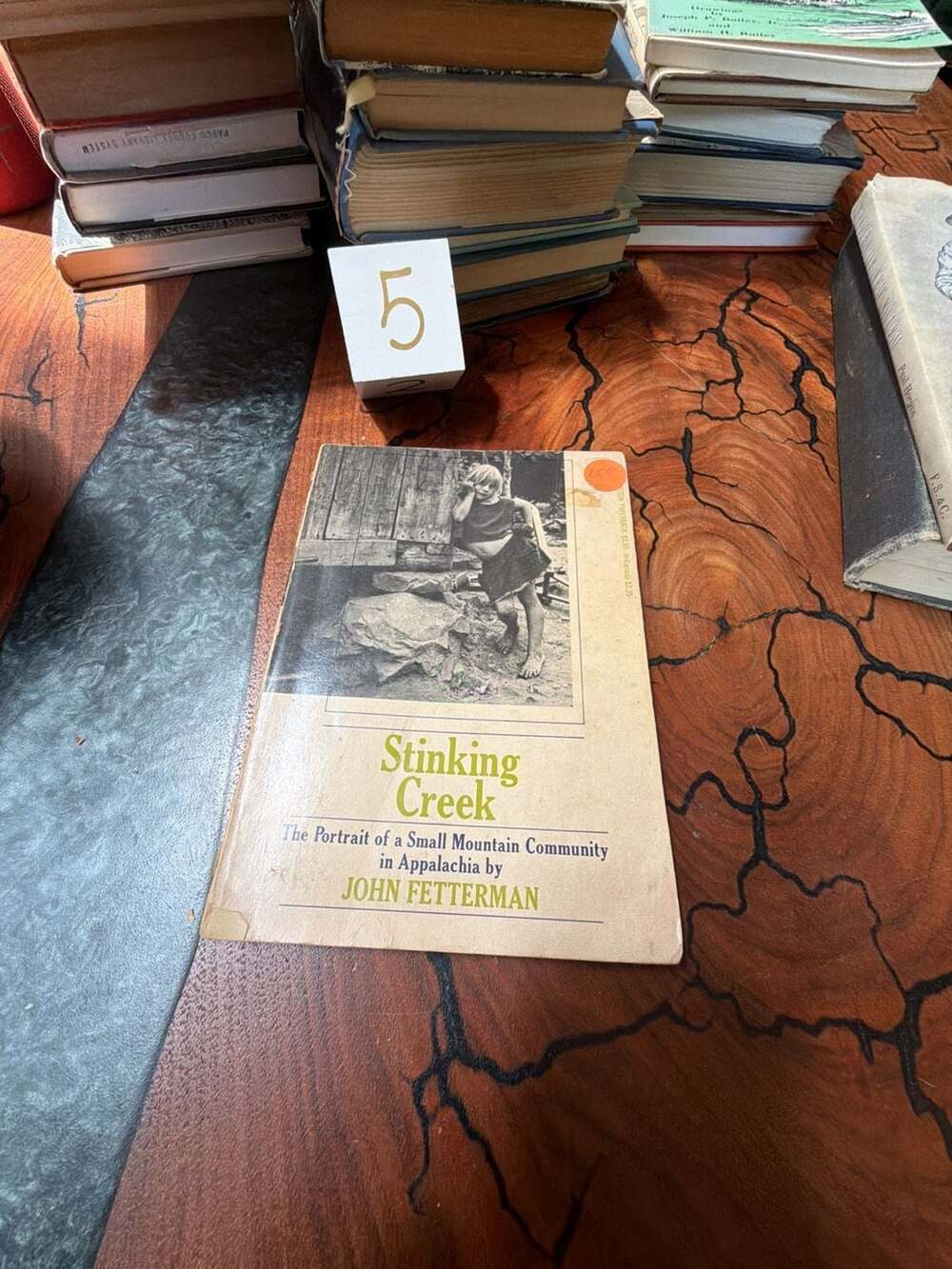 Stinking Creek: The Portrait of a Small Mountain Community in Appalachia by John